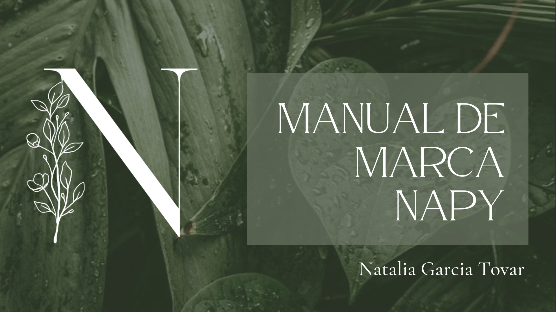 Manual de marca Napy — Napy Cosmética