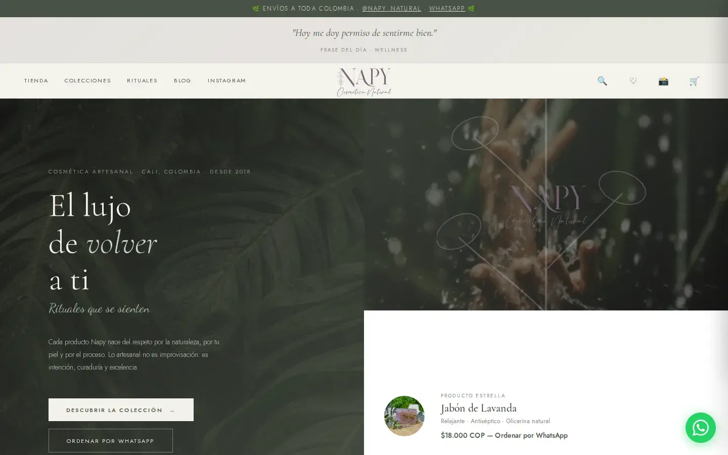 Sitio web Napy Natural